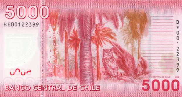 Купюра номиналом 5000 чилийских песо (2009 год), обратная сторона